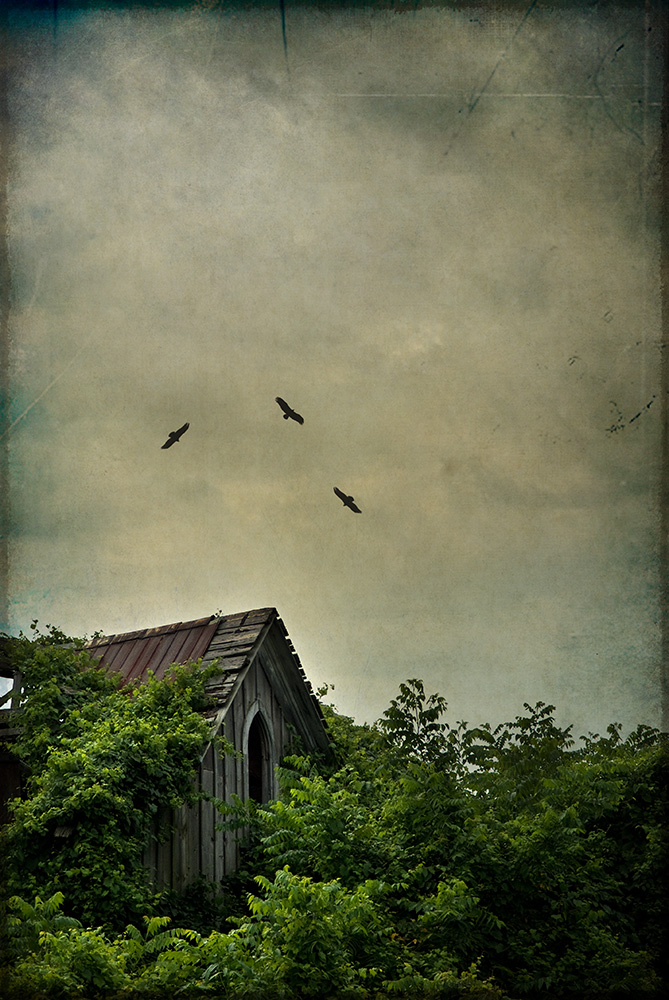 rural ontario photography