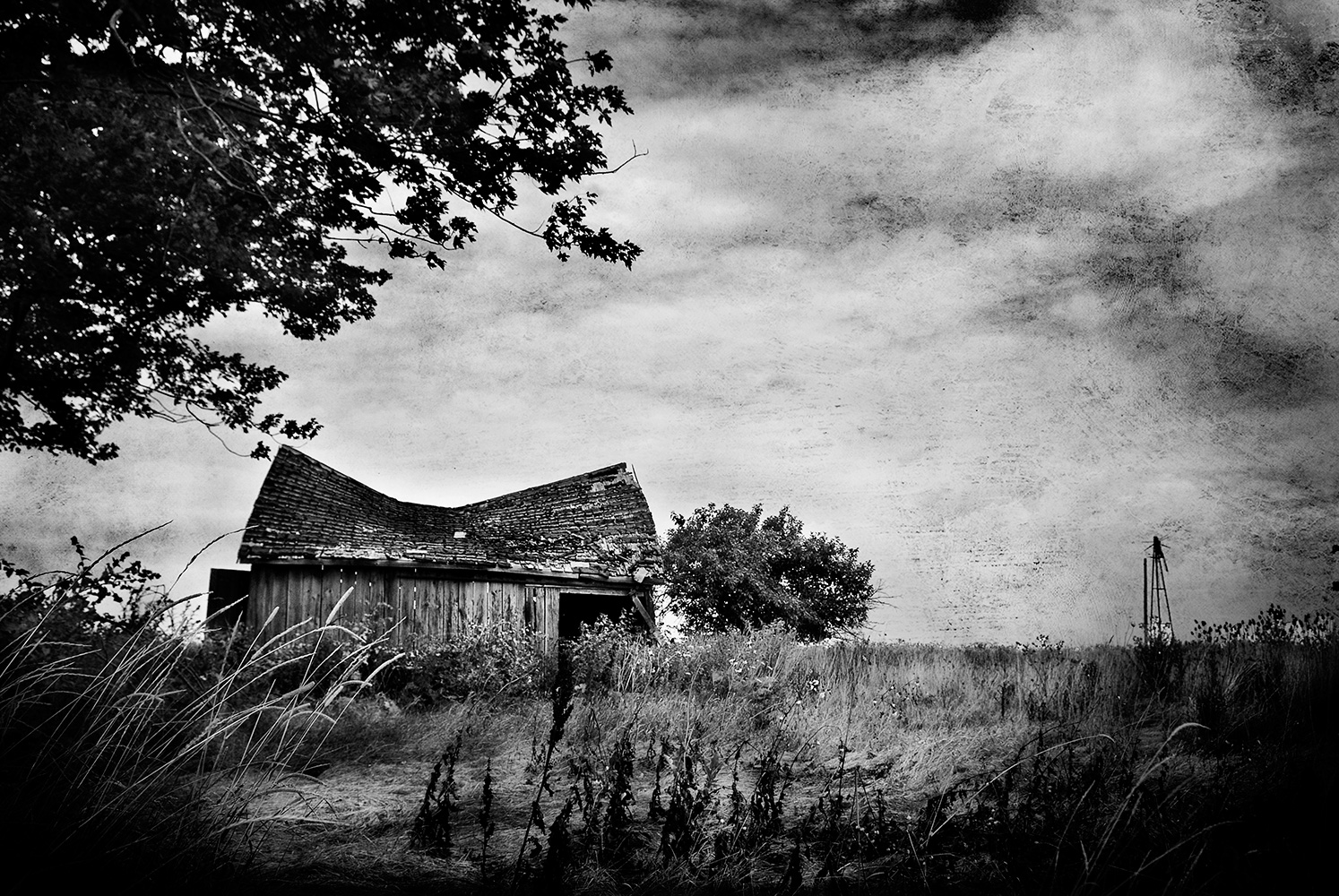 rural ontario fine art photography