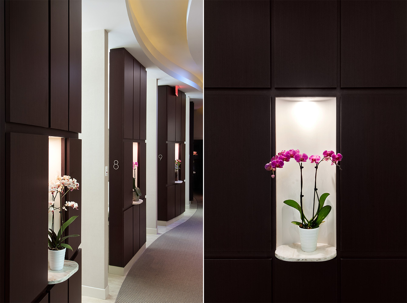 details of dentist office built by Vicano in Brantford