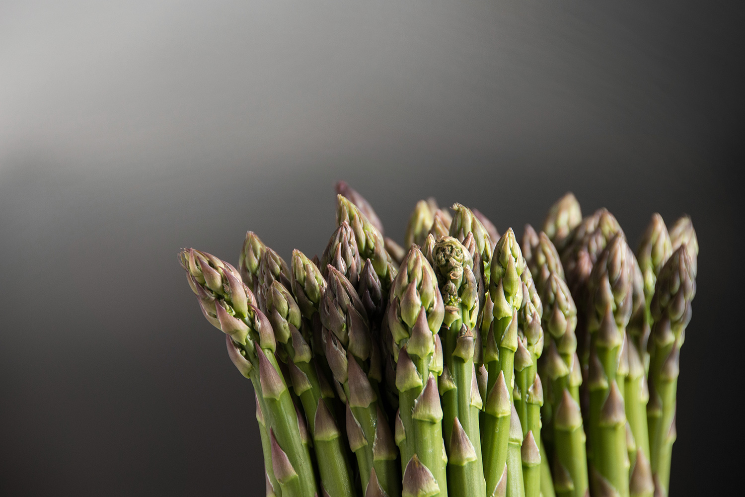 bunch of asparagus - food photographer
